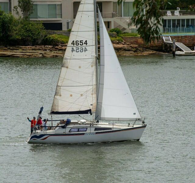 Raven 31