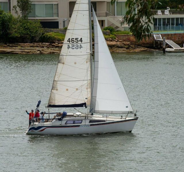 Raven 31